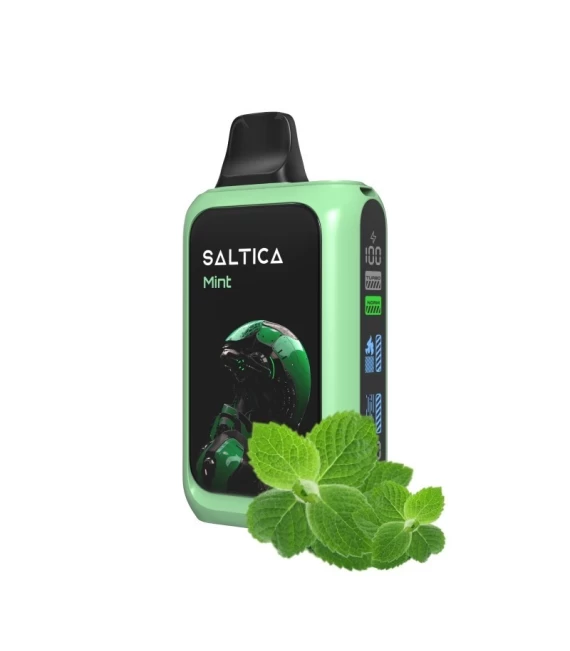 Saltica Cyber 18000 Kullan At