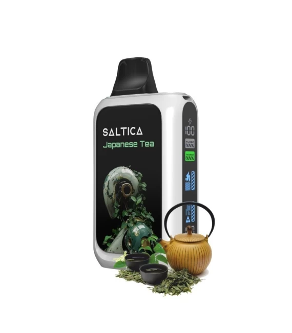 Saltica Cyber 18000 Kullan At